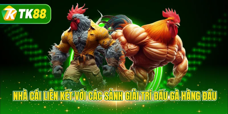 Nhà cái liên kết với các sảnh giải trí đấu gà hàng đầu
