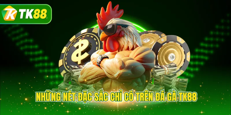 Những nét đặc sắc chỉ có trên đá gà TK88